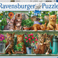 Ravensburger - Cats on the Shelf Puzzle 500pc