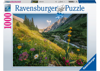 Ravensburger - Magical Valley 1000pc